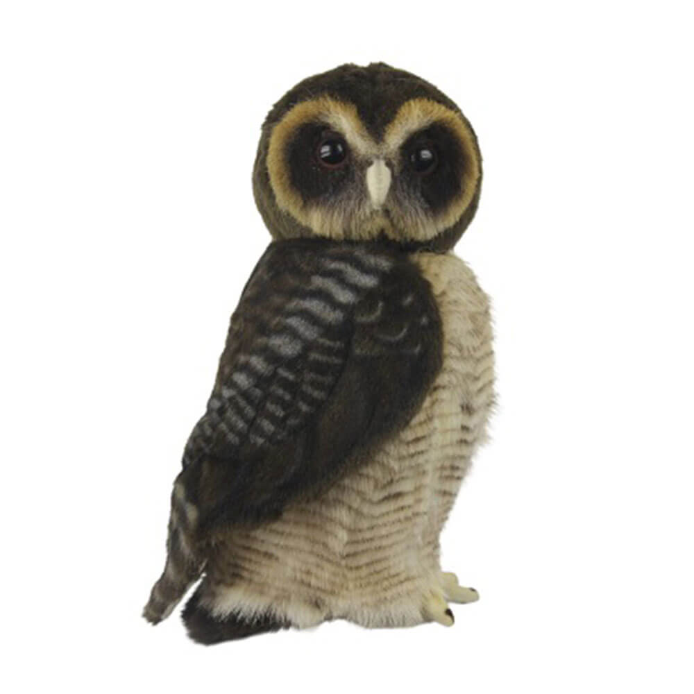 Asian Brown Wood Owl (28cm H)