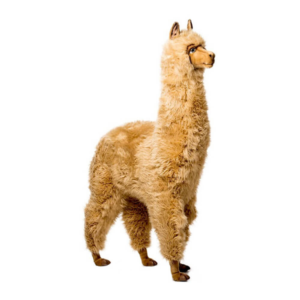 Marrone alpaca (165 cm h)