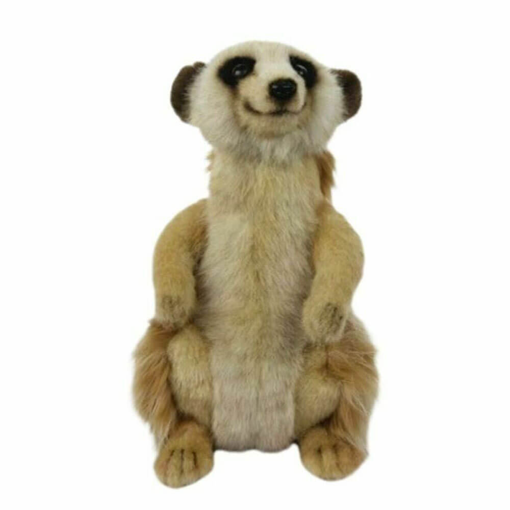 Meerkat Plush Toy (22cm H)