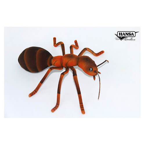 Peluche fourmi (25 cm l)