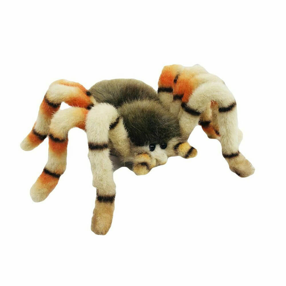 Jumping Spider (29cm W)