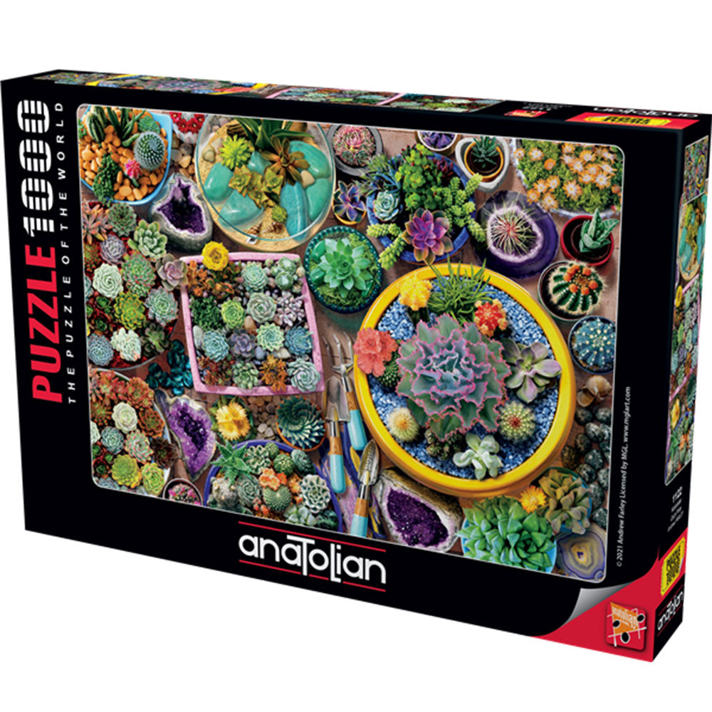Anatolian Cacti Pots Jigsaw Puzzle 1000pcs