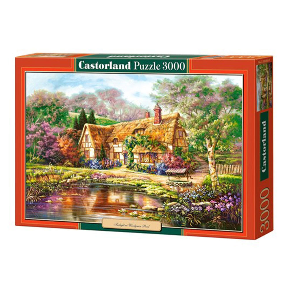  Castorland Classic Puzzle 3000 Teile