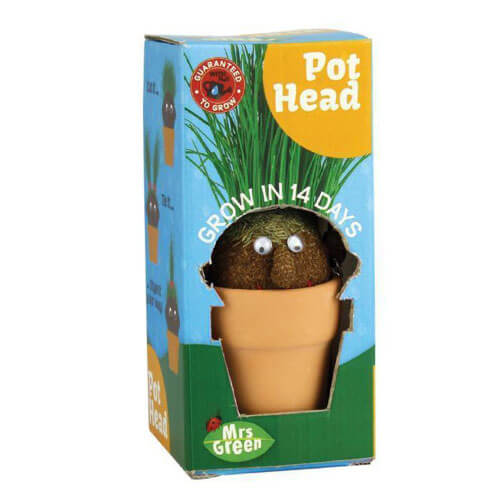 Magic Pot Head Plant
