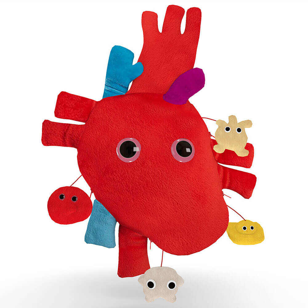 Heart XL Organ w/ Minies