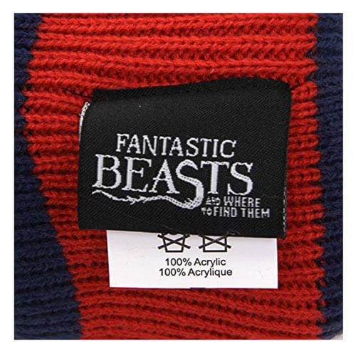 Fantastic Beasts and Where to Find Them MACUSA Slouch Beanie