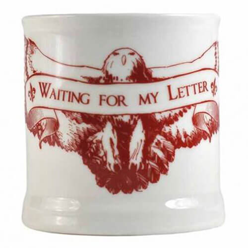 Harry Potter Waiting for my Letter Boxed Vintage Mug