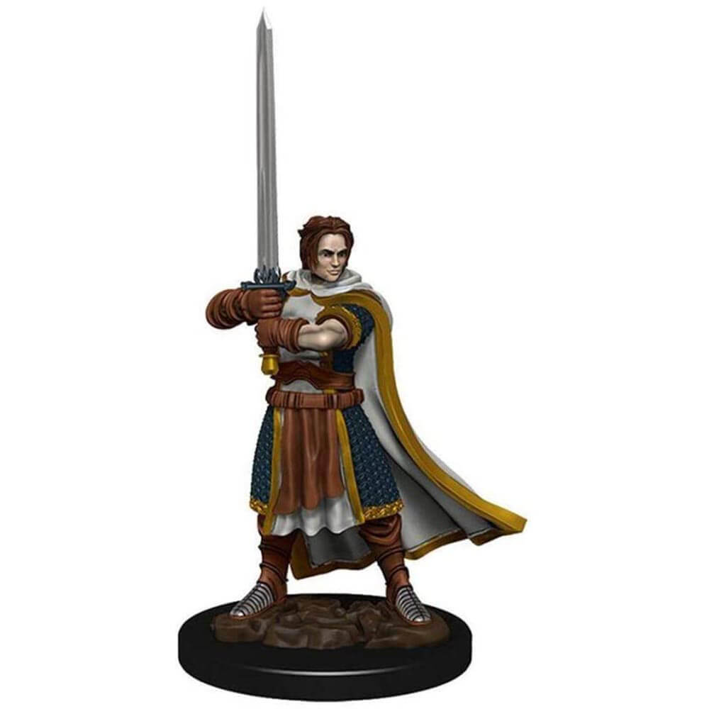 Dungeons & Dragons Premium Human Fighter Male Miniature