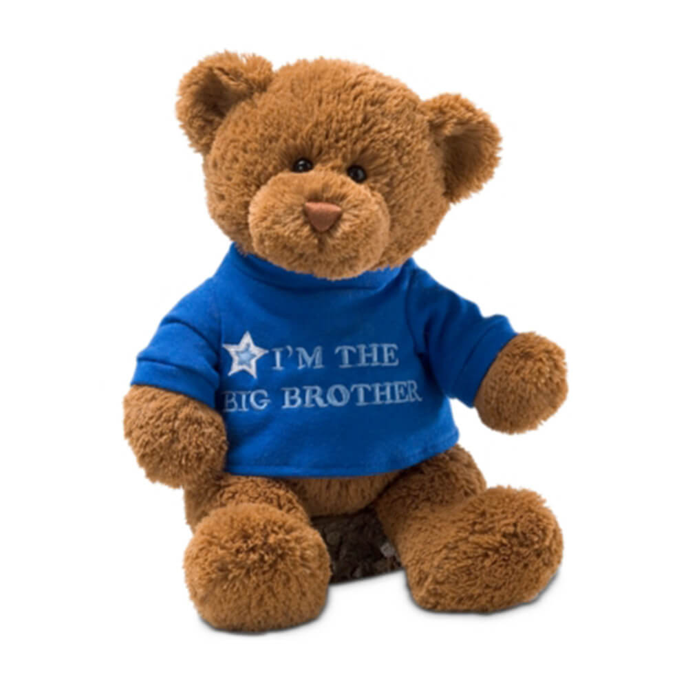 Gund Big Brother Bear (Blue)