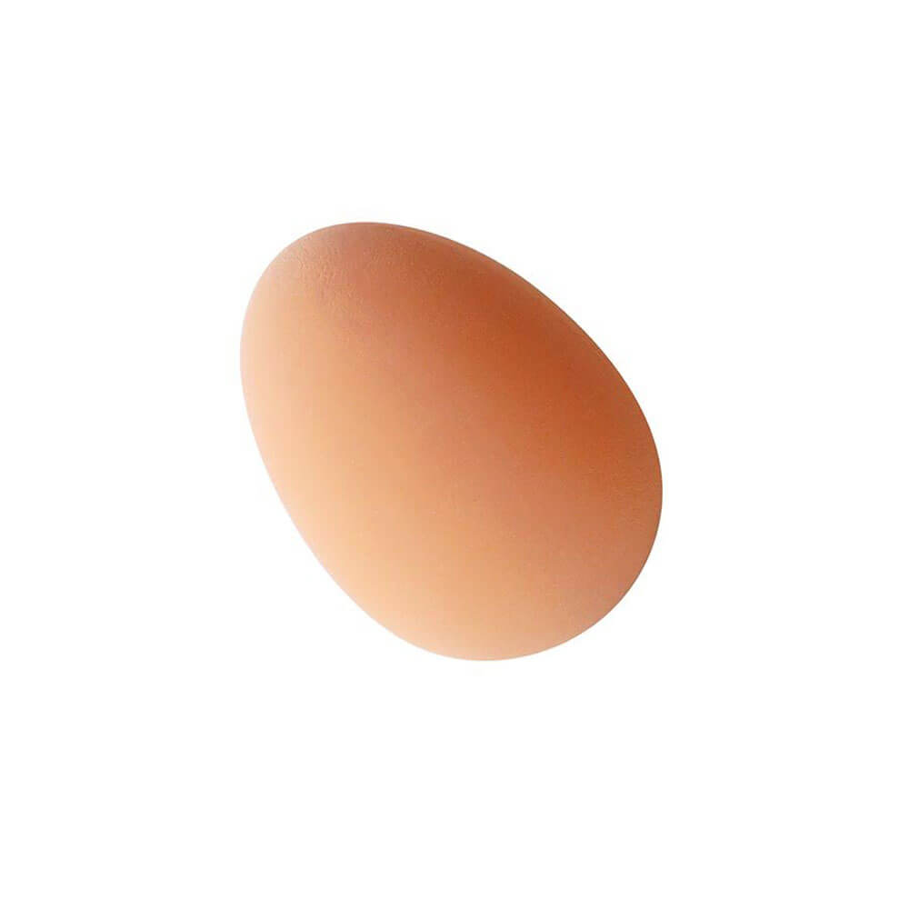 Studsande ägg