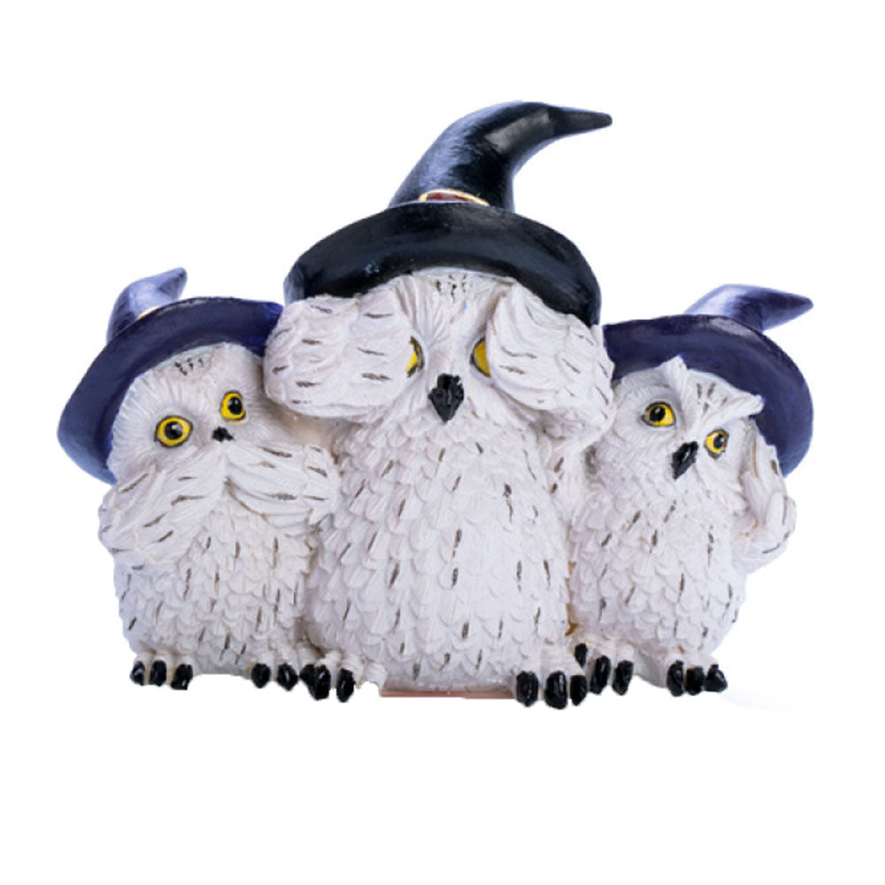 3 Wise Snowy Owls