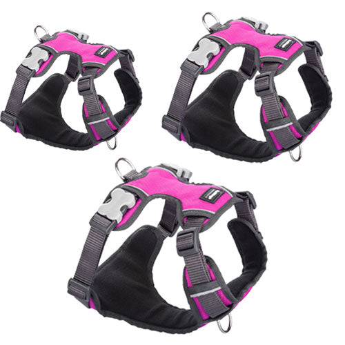 Padded Harness (Hot Pink)