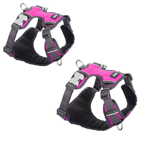 Padded Harness (Hot Pink)