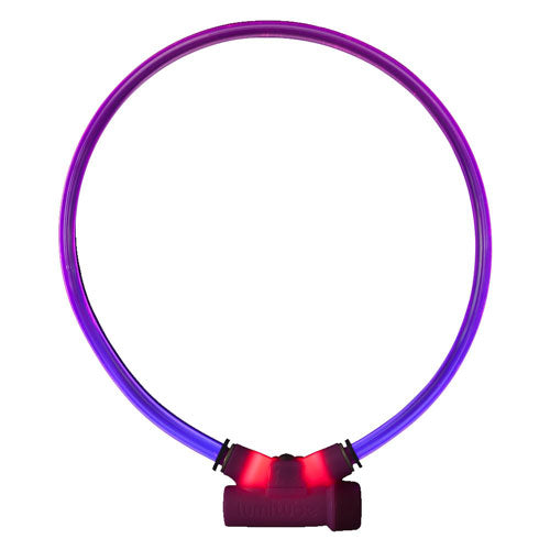 Lumitubo iluminado Red Dingo (púrpura)