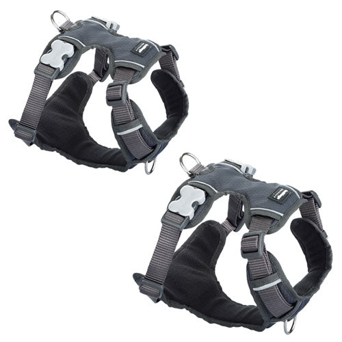 Padded Harness (Cool Grey)