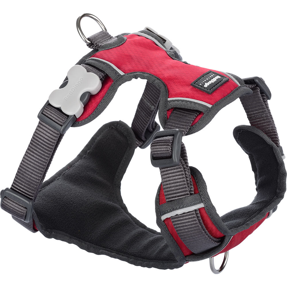 Padded Harness (Red)