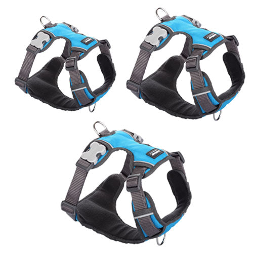 Padded Harness (Turquoise)