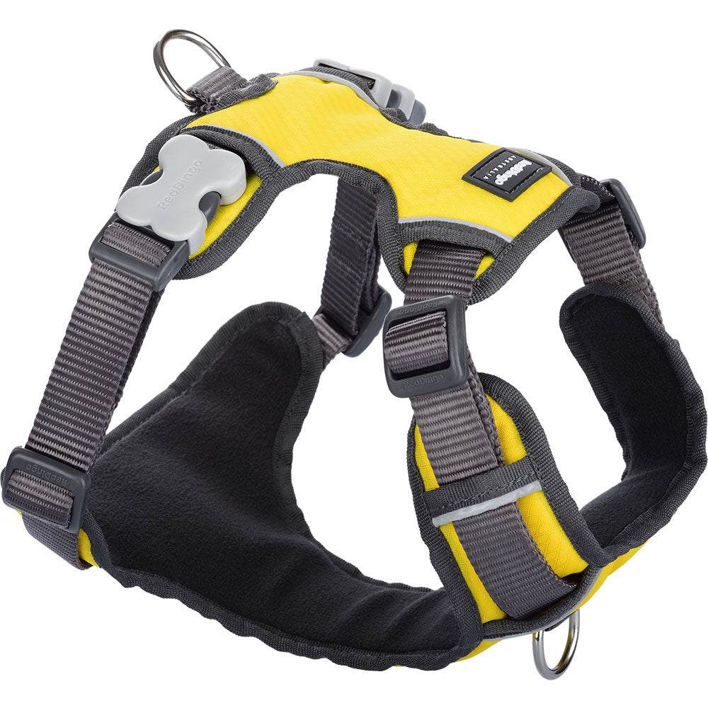 Padded Harness (Yellow)