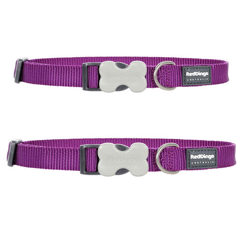 Collier classique pour chien (violet)