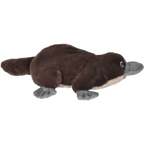 Wild Republic Platypus Plush Toy 12"