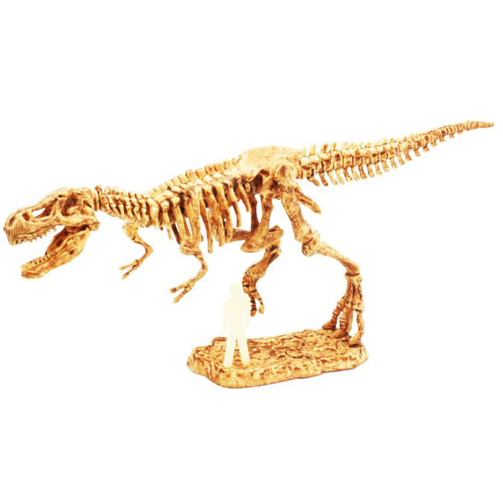 Discover Science T-Rex Excavation Kit