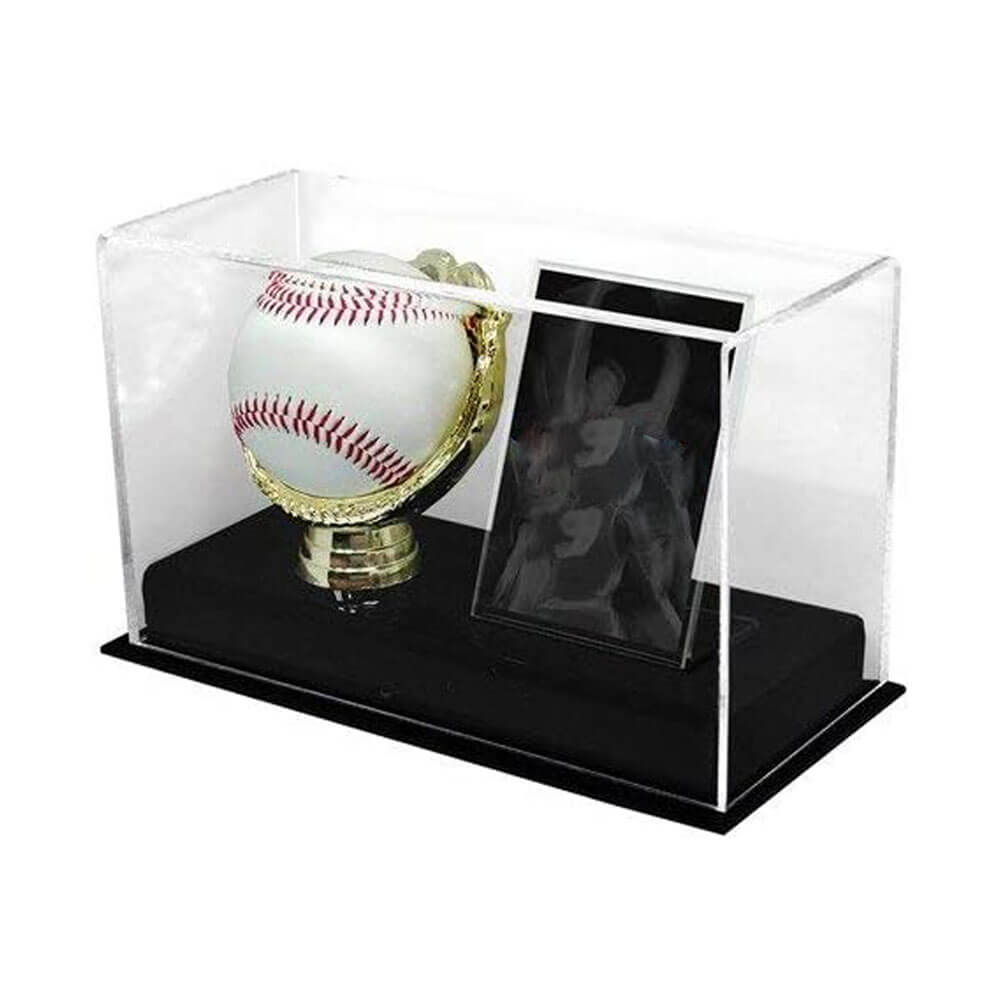 BCW Acrylic Gold Glove Ball and Card Display