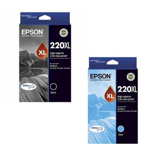 Epson High-capacity Inkjet Cartridge 220XL