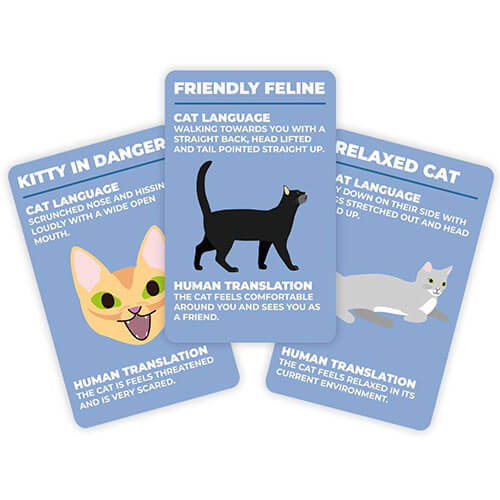 Gift Republic How to Speak Cat Card Game