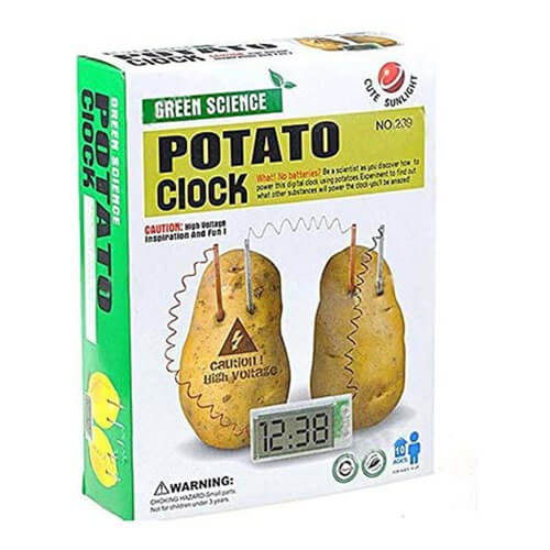 Funtime Potato Clock Toy